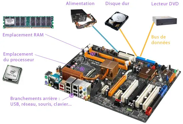composants ordinateur portable RAM SSD processeur